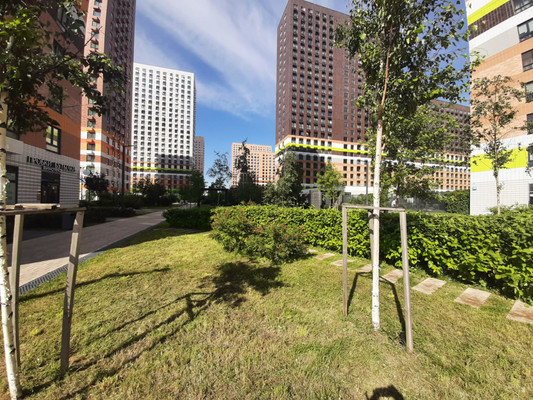 Сдам однокомнатную (1-комн.) квартиру, Люблинская ул, 72к3, Москва г