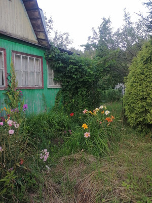 Продам дачу, Уголек снт, 77, Кудашевка д, 0 км от города