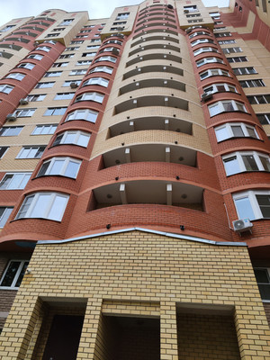 Продам однокомнатную (1-комн.) квартиру, Лесные поляны (Салтыковка мкр.) ул, 19, Балашиха г