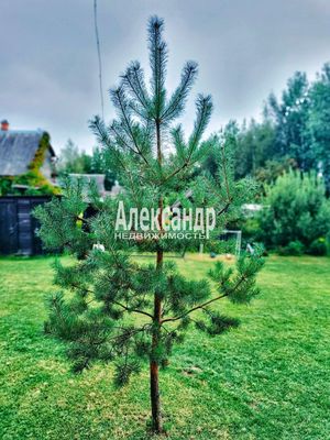 Продам коттедж, 2-я (Заря тер. ТСН) линия, 36, Восход массив, 50 км от города