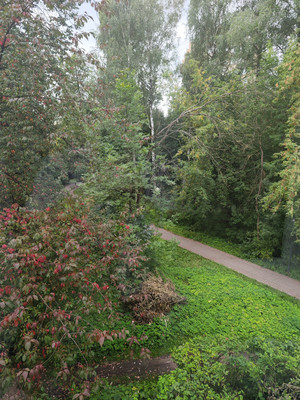 Продам двухкомнатную (2-комн.) квартиру, Смельчак (Кучино мкр.) ул, 8, Балашиха г