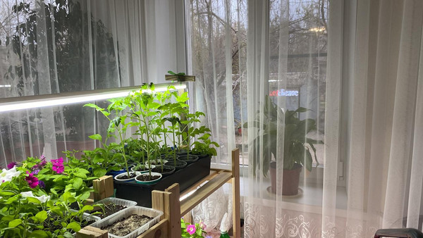Продам трехкомнатную (3-комн.) квартиру, Ленина ул, 15, Волгодонск г