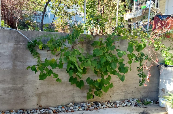 Продам дачу, Мира ул, Туапсе г, 0 км от города