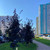 Продам трехкомнатную (3-комн.) квартиру, Авиаторов Балтики пр-кт, 19, Мурино п