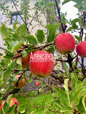 Продам дом, Большая Гвардейская ул, 24, Выборг г, 120 км от города