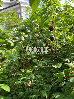 Продам дом, Большая Гвардейская ул, 24, Выборг г, 120 км от города