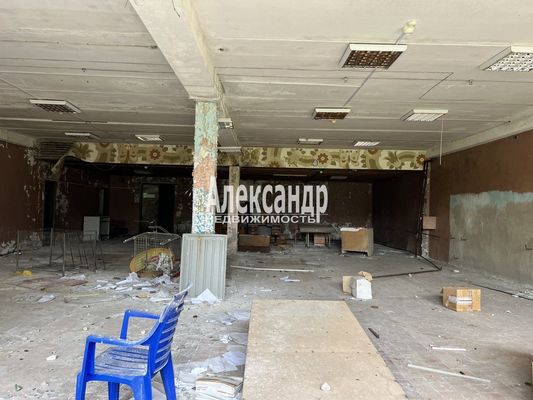 Продам торговое помещение 2 332 м2, Дружбы пл, 35, Елизаветино п