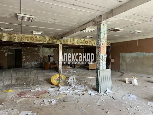 Продам торговое помещение 2 332 м2, Дружбы пл, 35, Елизаветино п