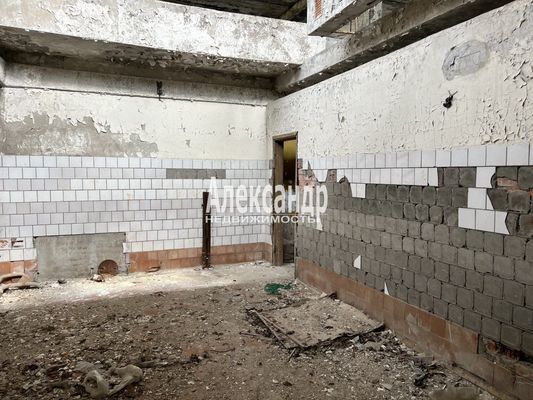 Продам торговое помещение 2 332 м2, Дружбы пл, 35, Елизаветино п