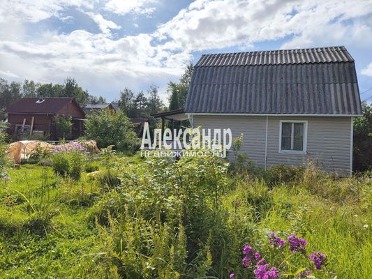 Продам дачу в поселке СНТ Грузино-5, 10-я Линия (Вектор тер. СНТ) ул, 175, Грузино массив, 28 км от города