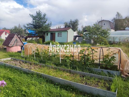 Продам дачу в поселке СНТ Грузино-5, 10-я Линия (Вектор тер. СНТ) ул, 175, Грузино массив, 28 км от города