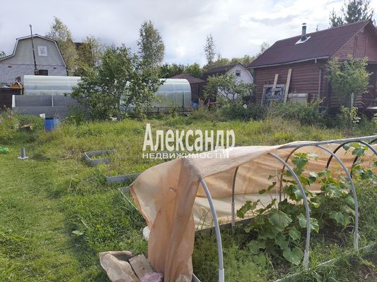 Продам дачу в поселке СНТ Грузино-5, 10-я Линия (Вектор тер. СНТ) ул, 175, Грузино массив, 28 км от города