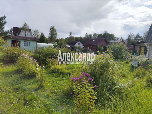 Продам дачу в поселке СНТ Грузино-5, 10-я Линия (Вектор тер. СНТ) ул, 175, Грузино массив, 28 км от города
