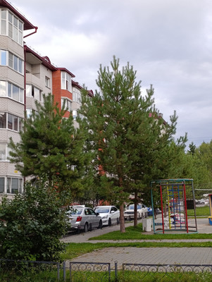 Продам двухкомнатную (2-комн.) квартиру, Гущина ул, 153кв, Барнаул г