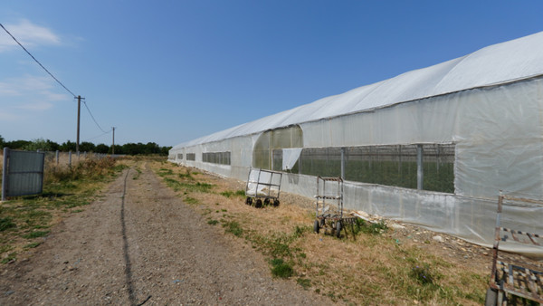 Продам склад 16 000 м2, Спортивный пер, Заветное с