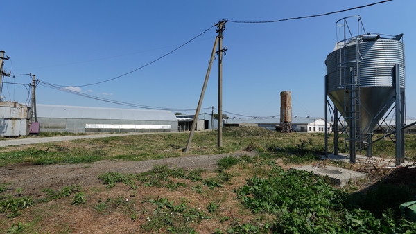 Продам склад 16 000 м2, Спортивный пер, Заветное с