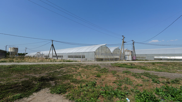 Продам склад 16 000 м2, Спортивный пер, Заветное с