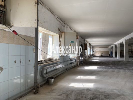 Сдам склад 887 м2, Пискарёвский пр-кт, 123, Санкт-Петербург г