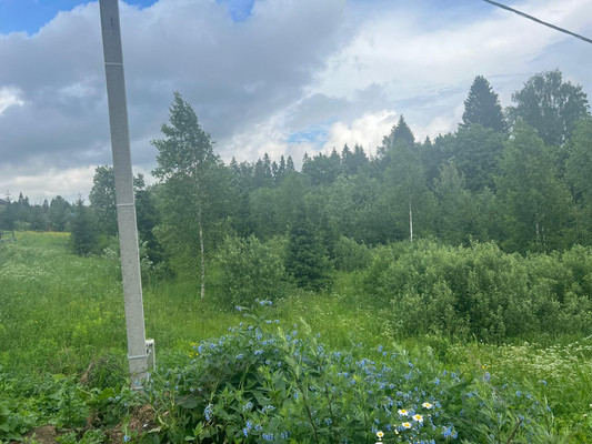 Продам участок 15 соток, Фермерское хоз., Владычино д, 0 км от города