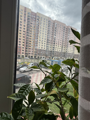 Продам двухкомнатную (2-комн.) квартиру, Липчанского ул, 10, Москва г