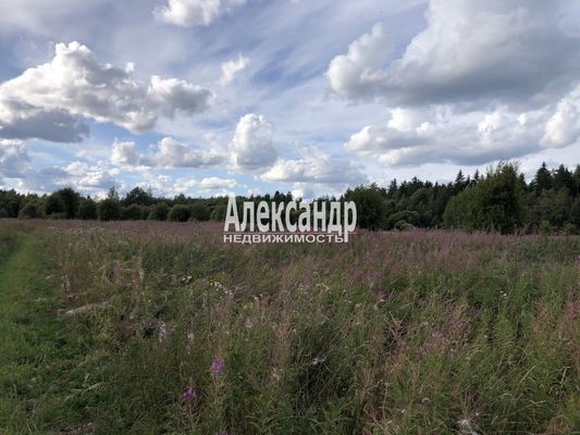 Продам участок 680 соток, Фермерское хоз., Нива п, 150 км от города