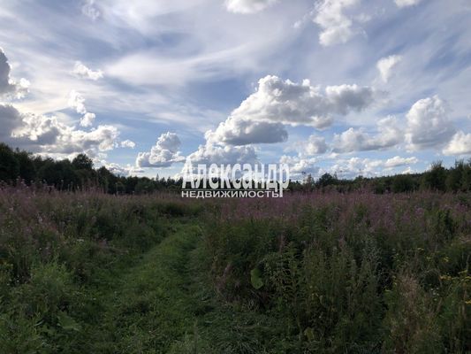 Продам участок 680 соток, Фермерское хоз., Нива п, 150 км от города