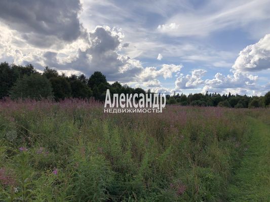 Продам участок 680 соток, Фермерское хоз., Нива п, 150 км от города