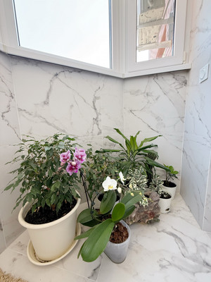 Продам двухкомнатную (2-комн.) квартиру, им. Димитрова ул, 3/1, Краснодар г