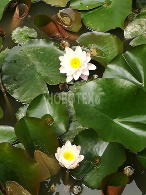 Продам дачу, сдт Бриз снт, 5, Горячий Ключ г, 0 км от города