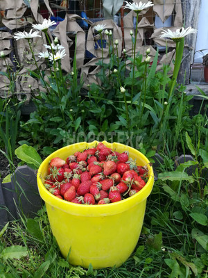 Продам дачу, сдт Бриз снт, 5, Горячий Ключ г, 0 км от города