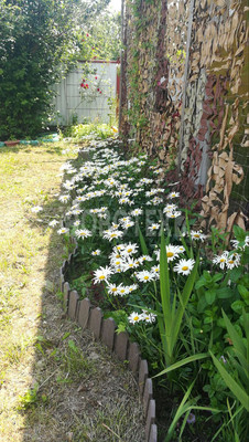 Продам дачу, сдт Бриз снт, 5, Горячий Ключ г, 0 км от города