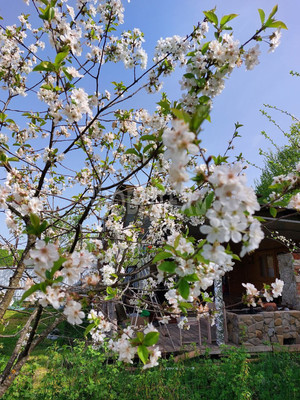 Продам дачу, сдт Бриз снт, 5, Горячий Ключ г, 0 км от города