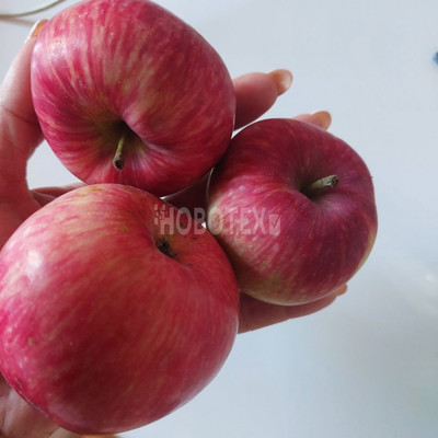 Продам дачу, сдт Бриз снт, 5, Горячий Ключ г, 0 км от города