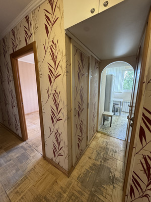 Продам трехкомнатную (3-комн.) квартиру, Кустодиева ул, 20к1, Санкт-Петербург г