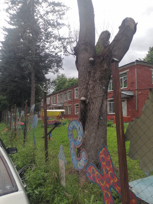 Продам комнату в 4-комн. квартире, Вересаева ул, 5/7, Алексин г