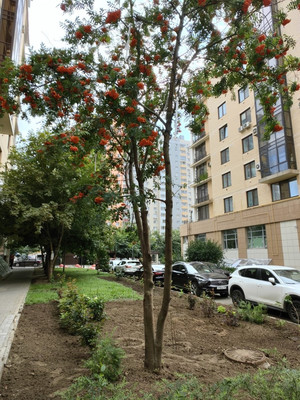 Продам трехкомнатную (3-комн.) квартиру, Альберта Камалеева пр-кт, 28, Казань г