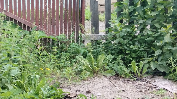 Продам участок 4,2 соток, Фермерское хоз., БИС ул, Нижний Тагил г, 0 км от города