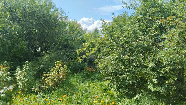 Продам участок 4,2 соток, Фермерское хоз., БИС ул, Нижний Тагил г, 0 км от города