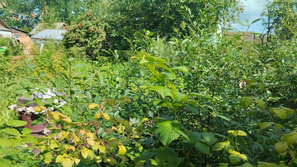 Продам участок 4,2 соток, Фермерское хоз., БИС ул, Нижний Тагил г, 0 км от города