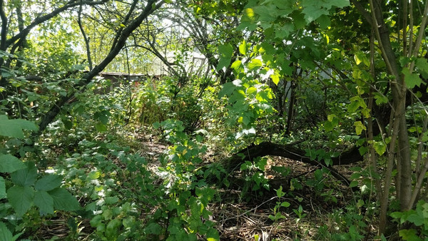 Продам участок 4,2 соток, Фермерское хоз., БИС ул, Нижний Тагил г, 0 км от города