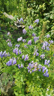 Продам участок 4,2 соток, Фермерское хоз., БИС ул, Нижний Тагил г, 0 км от города