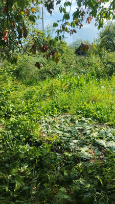 Продам участок 4,2 соток, Фермерское хоз., БИС ул, Нижний Тагил г, 0 км от города