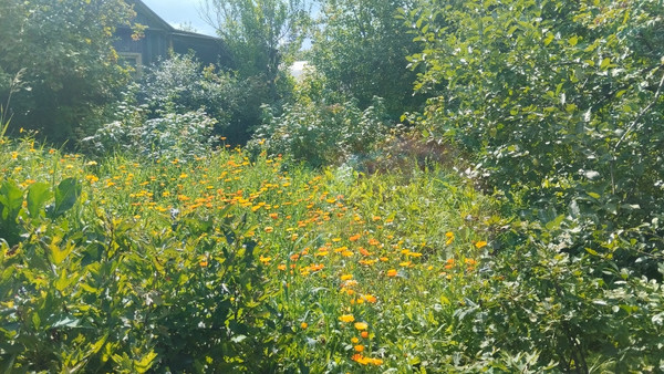 Продам участок 4,2 соток, Фермерское хоз., БИС ул, Нижний Тагил г, 0 км от города