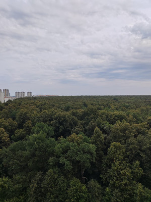 Продам однокомнатную (1-комн.) квартиру, Абубекира Терегулова ул, 4, Казань г