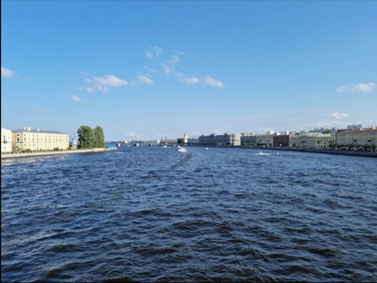 Продам многокомнатную квартиру, 3-я В.О. линия, 56, Санкт-Петербург г