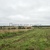 Продам участок 30 соток, ЛПХ, Акулово д, 0 км от города