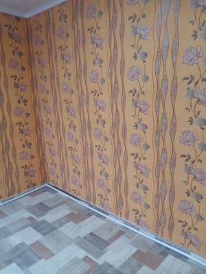Продам однокомнатную (1-комн.) квартиру, Степана Разина ул, 14, Ишим г