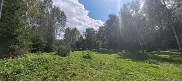 Продам участок 8 соток, ИЖС, Блинки ул, Гридюкино д, 0 км от города