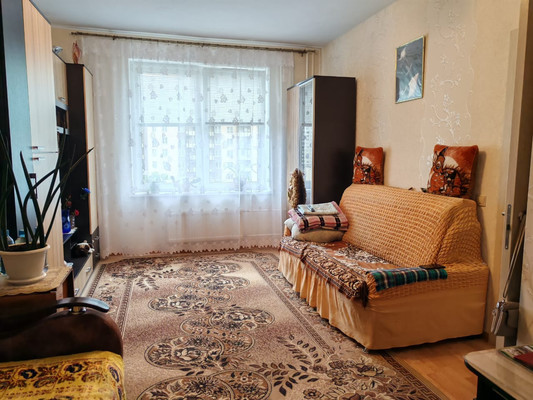 Продам однокомнатную (1-комн.) квартиру, Флотская ул, 7, Новое Девяткино д
