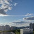 Продам однокомнатную (1-комн.) квартиру, Островитянова ул, 5к1, Москва г